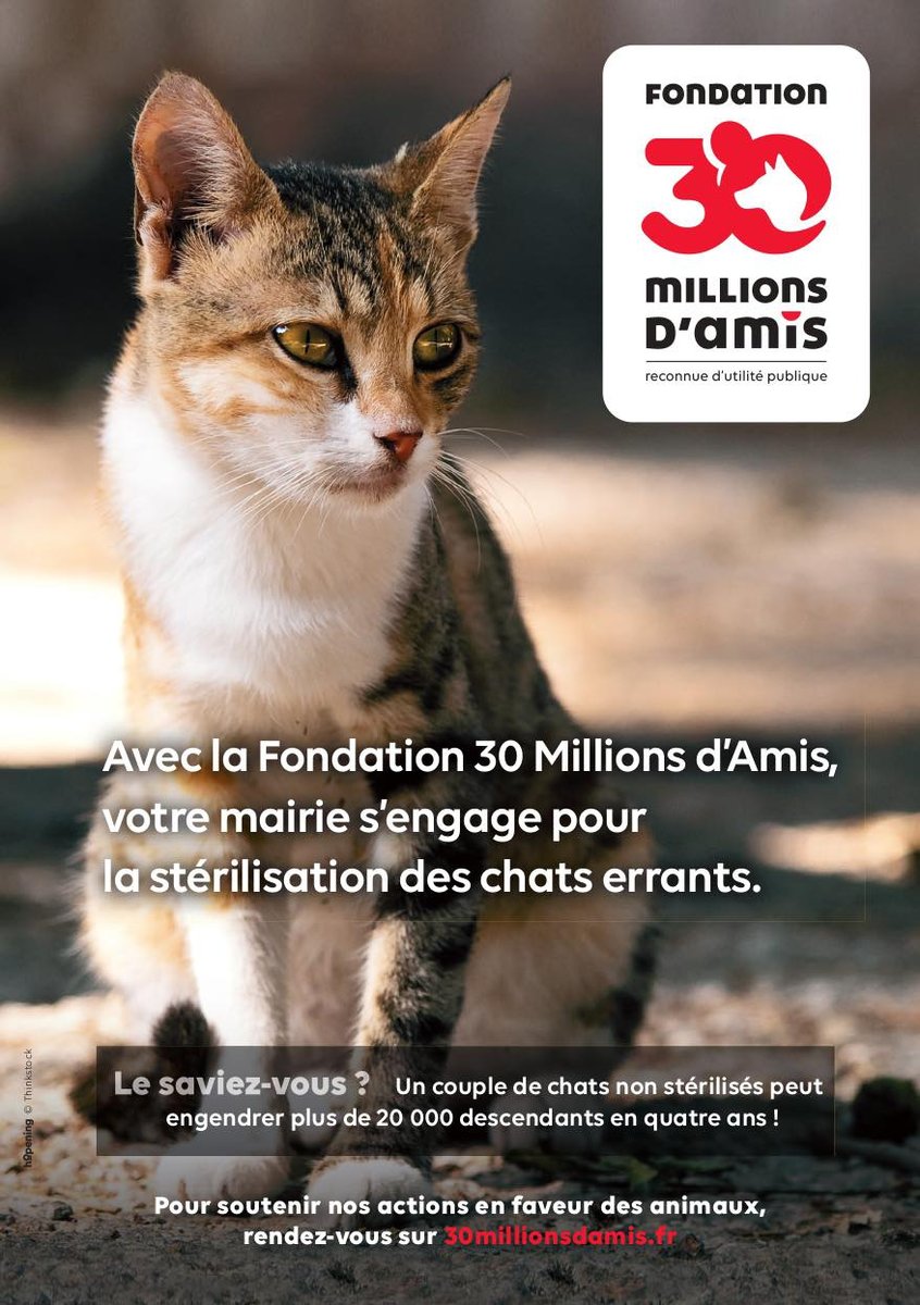 fondation